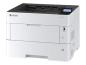 Preview: Kyocera ECOSYS P4140dn - Drucker - s/w - Duplex