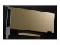 Preview: PNY NVIDIA L4 - GPU-Rechenprozessor - L4 - 24 GB GDDR6