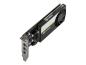 Preview: PNY NVIDIA T400 4GB - Grafikkarten - T400 - 4 GB GDDR6