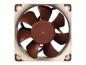 Preview: Noctua NF-A6x25 PWM - Gehäuselüfter - 60 mm