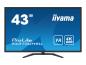 Preview: Iiyama ProLite X4373UHSU-B1 - LED-Monitor - 109.2 cm (43")