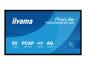 Preview: Iiyama ProLite T5529AS-B1AG - 140 cm (55") Diagonalklasse (139 cm (54.6")