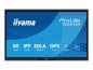 Preview: Iiyama ProLite TE6515A-B1AG - 165 cm (65") Diagonalklasse (163.9 cm (64.5")