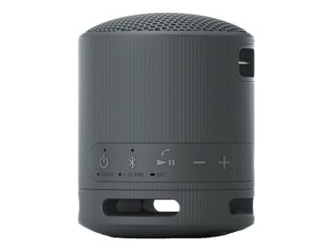 Sony SRS-XB100 - Lautsprecher - tragbar - kabellos