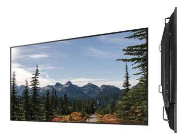 AG Neovo PD-65Q - 165 cm (65") Diagonalklasse (163.8 cm (64.5")