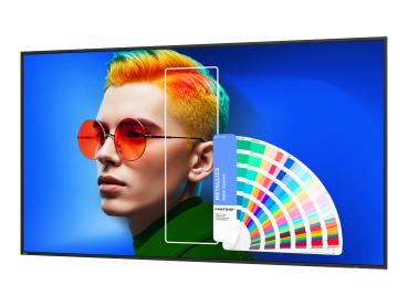 BenQ SL6504 - 165 cm (65") Diagonalklasse SL04 Series LCD-Display mit LED-Hintergrundbeleuchtung - Digital Sig