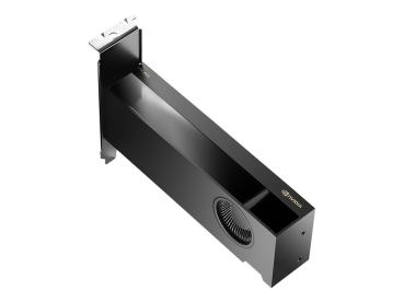 PNY NVIDIA - Grafikkarten - NVIDIA RTX 2000 Ada - 16 GB GDDR6