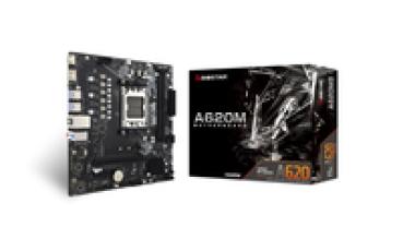 Biostar A620MS A620 AM5 mATX DDR5 - Mainboard - AMD Sockel AM5 (Ryzen Zen4)