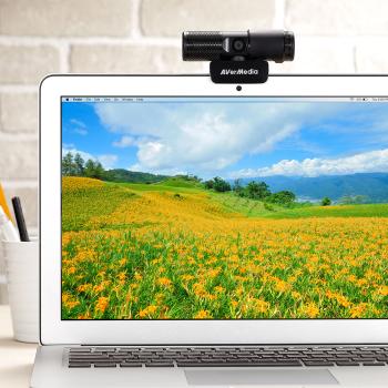 AVer Webcam Live Stream Cam 313 PW313 inkl. Micro