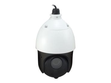 LevelOne FCS-4051 - Netzwerk-Überwachungskamera - PTZ - Außenbereich, Innenbereich - wetterfest - Farbe (Tag