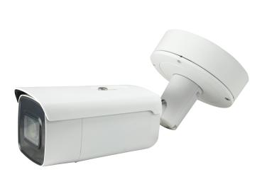 LevelOne FCS-5096 - Netzwerk-Überwachungskamera - Außenbereich, Innenbereich - vandalismusgeschützt - Farbe