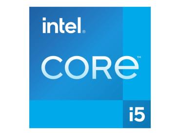 Intel Core i5 13400 - 2.5 GHz - 10 Kerne - 16 Threads