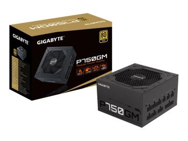 Gigabyte P750GM - Netzteil (intern) - ATX12V 2.31