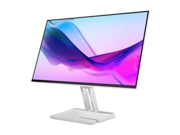 Lenovo L24i-4A - LED-Monitor - 61 cm (24") (23.8" sichtbar)