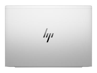 HP EliteBook 665 G11 Notebook - AMD Ryzen 7 7735U / 2.7 GHz - Win 11 Pro - Radeon 680M - 16 GB RAM - 512 GB SS