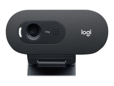 Logitech C505e - Webcam - Farbe - 720p - feste Brennweite