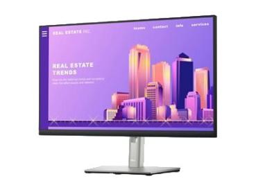 Dell P2422H - LED-Monitor - 61 cm (24") (23.8" sichtbar)