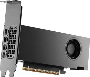PNY nVidia RTX Pro 2000 Blackwell - Grafikkarte - PCI-Express