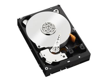WD RE WD5003ABYZ - Festplatte - 500 GB - intern - 3.5" (8.9 cm)