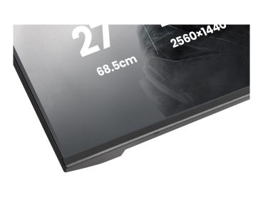 Iiyama G-MASTER Black Hawk GB2741QSU-B1 - LED-Monitor - Gaming - 68.6 cm (27")