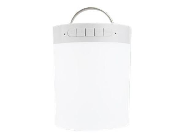 Manhattan Sound Science Bluetooth Speaker (Clearance Pricing)