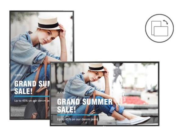 AG Neovo PD-55Q - 140 cm (55") Diagonalklasse (138.7 cm (54.6")