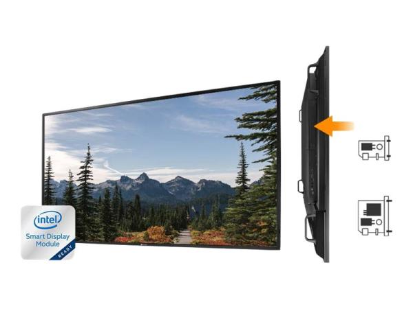 AG Neovo PD-55Q - 140 cm (55") Diagonalklasse (138.7 cm (54.6")