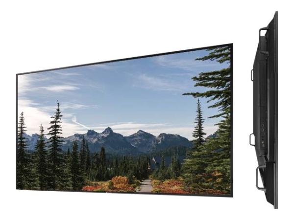 AG Neovo PD-65Q - 165 cm (65") Diagonalklasse (163.8 cm (64.5")