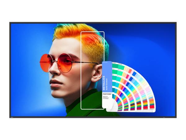 BenQ SL6504 - 165 cm (65") Diagonalklasse SL04 Series LCD-Display mit LED-Hintergrundbeleuchtung - Digital Sig