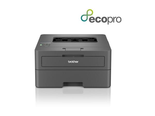 Brother HL-L2400DWE - Drucker - s/w - Duplex