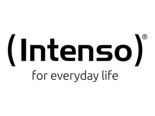 Intenso TX100 - SSD - 500 GB - extern (tragbar) - USB 3.2 Gen 1x1 (USB-C Steckverbinder)