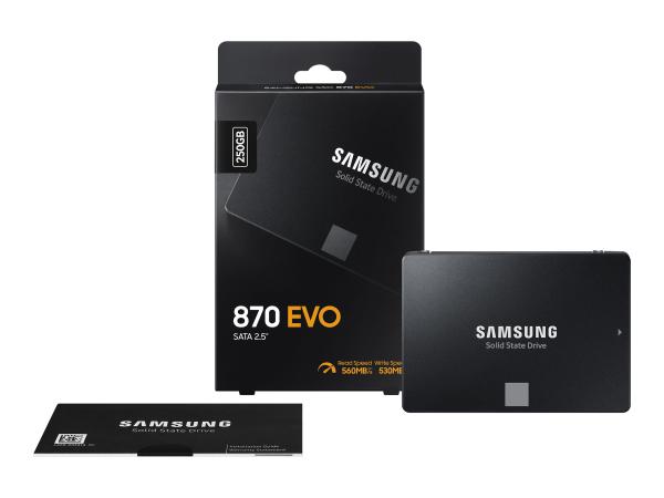 Samsung 870 EVO MZ-77E250B - SSD - verschlüsselt - 250 GB - intern - 2.5" (6.4 cm)