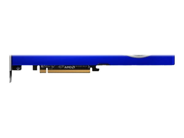 AMD Radeon Pro W6800 - Grafikkarten - Radeon Pro W6800