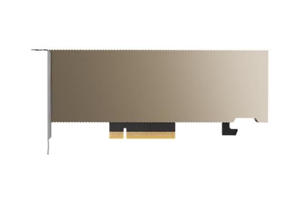 NVIDIA A2 - GPU-Rechenprozessor - NVIDIA A2 Tensor Core