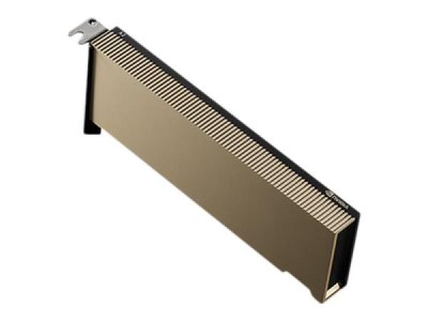 NVIDIA A2 - GPU-Rechenprozessor - NVIDIA A2 Tensor Core