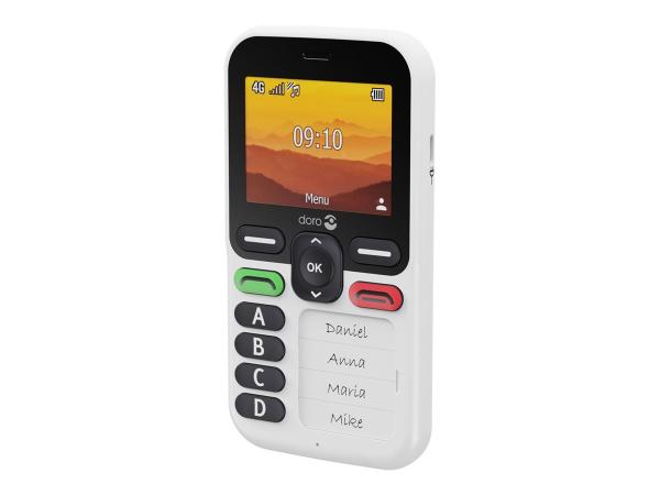 Doro Leva X10 - 4G Feature Phone - RAM 64 MB / Interner Speicher 128 MB - microSD slot - 320 x 240 Pixel (60 H