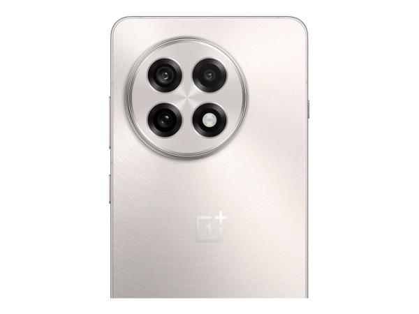 OnePlus 13R - 5G Smartphone - Dual-SIM - RAM 12 GB / Interner Speicher 256 GB - OLED-Display - 6.78" - 2780 x 