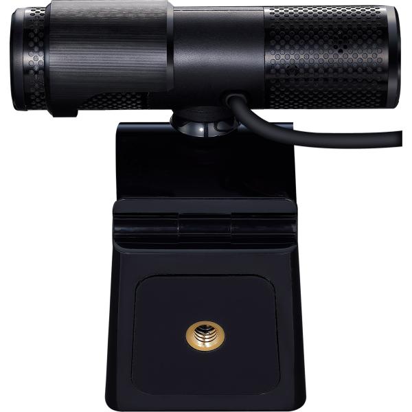AVer Webcam Live Stream Cam 313 PW313 inkl. Micro