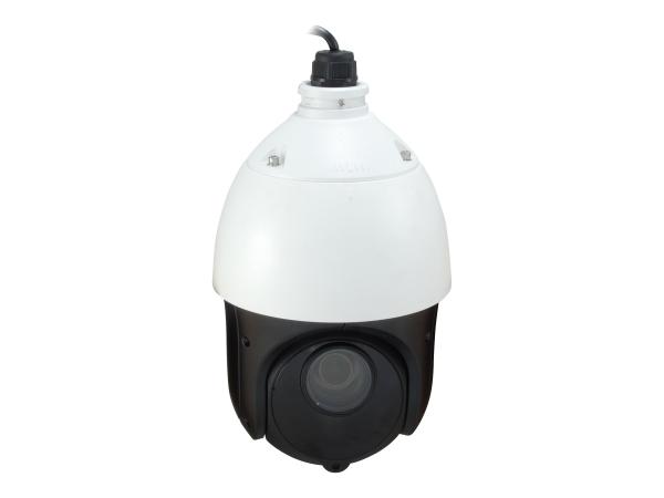 LevelOne FCS-4051 - Netzwerk-Überwachungskamera - PTZ - Außenbereich, Innenbereich - wetterfest - Farbe (Tag