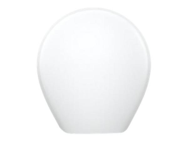 Ubiquiti Befestigungskit - für Kamera - Polycarbonat