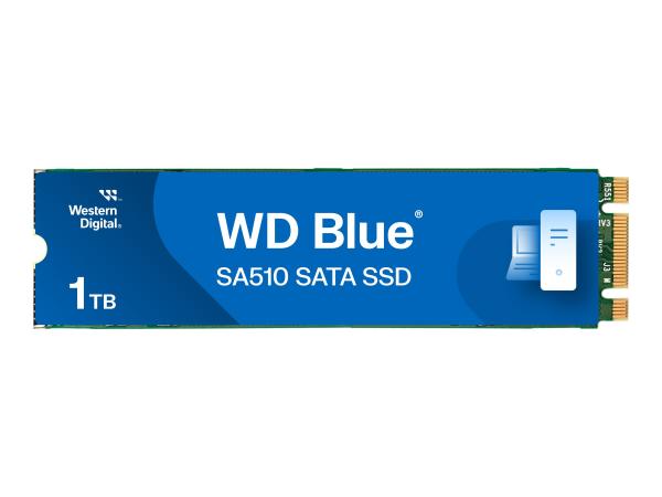 WD Blue SA510 WDS100T3B0B - SSD - 1 TB - intern