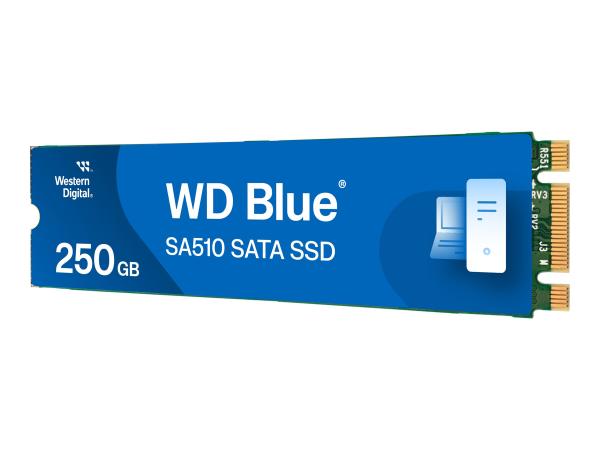 WD Blue SA510 WDS250G3B0B - SSD - 250 GB - intern