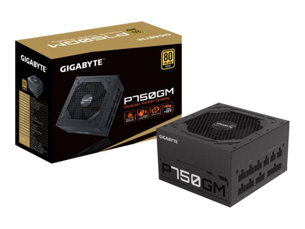 Gigabyte P750GM - Netzteil (intern) - ATX12V 2.31