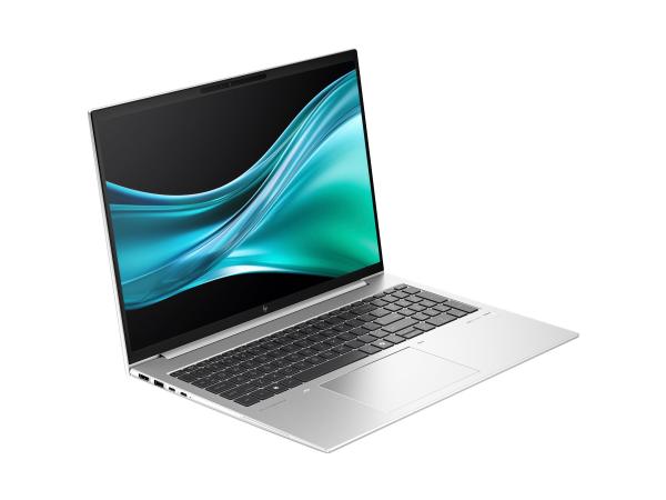 HP EliteBook 865 G11 Notebook - 172°-Scharnierdesign - AMD Ryzen 5 8540U / 3.2 GHz - Win 11 Pro - Radeon 740M