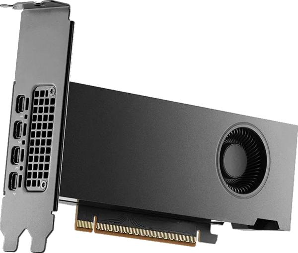 PNY nVidia RTX Pro 2000 Blackwell - Grafikkarte - PCI-Express