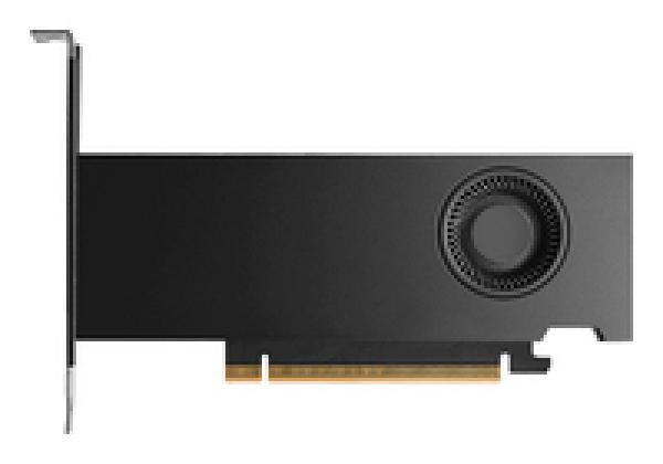 PNY Nvidia RTX Pro 2000 Blackwell - Grafikkarte - PCI-Express