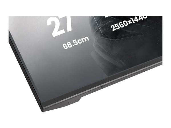 Iiyama G-MASTER Black Hawk GB2741QSU-B1 - LED-Monitor - Gaming - 68.6 cm (27")