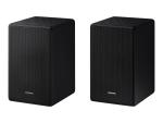 Samsung SWA-9500S - Hintere Kanallautsprecher