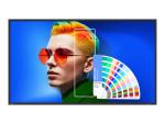 BenQ SL4304 - 109 cm (43") Diagonalklasse SL04 Series LCD-Display mit LED-Hintergrundbeleuchtung - Digital Sig