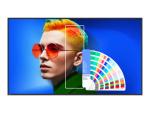 BenQ SL6504 - 165 cm (65") Diagonalklasse SL04 Series LCD-Display mit LED-Hintergrundbeleuchtung - Digital Sig